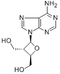 CAS#: 103913-16-2， [(2R,3R,4S)-2-(6-Aminopurin-9-Yl)-4-(Hydroxymethyl)Oxetan-3-Yl]Methanol