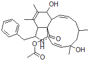 CAS#: 108050-28-8， (7S,13E,16S,18R,19E,21R)-21-(Acetyloxy)-7,18-Dihydroxy-16,18-Dimethyl-10-Phenyl-(11)Cytochalasa-5,13,19-Trien-1-One