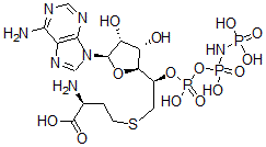 CAS#: 109214-84-8， 5'-((Homocysteinyl)methyl)adenosine 5'-(beta,gamma-imidotriphosphate)