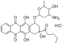CAS#: 109485-64-5， 7-(4-Amino-5-Hydroxy-6-Methyloxan-2-Yl)Oxy-6,9,11-Trihydroxy-9-Pentanoyl-8,10-Dihydro-7H-Tetracene-5,12-Dione Hydrochloride