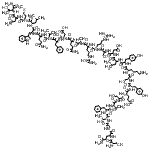 structure of CAS# 110084-95-2, L-Seryl-L-Glutaminylglycyl-L-Threonyl-L-Phenylalanyl-L-Threonyl-L-Seryl-L-alpha-Glutamyl-L-Tyrosyl-L-Seryl-L-Lysyl-L-Tyrosyl-L-Leucyl-L-alpha-Aspartyl-L-Seryl-L-Arginyl-L-Arginyl-L-Alanyl-L-Glutaminyl -L-alpha-Aspartyl-L-Phenylalanyl-L-Valyl-L-Glutaminyl-L-Tryptophyl-L-Leucyl-L-Methionyl-L-Asparaginyl-L-Threoninamide;des-His1-[Glu9]-Glucagon (1-29) amide;H-SER-GLN<wbr>-GLY-THR-<wbr>PHE-THR-S<wbr>ER-GLU-TY<wbr>R-SER-LYS<wbr>-TYR-LEU-<wbr>ASP-SER-A<wbr>RG-ARG-AL<wbr>A-GLN-ASP<wbr>-PHE-VAL-<wbr>GLN-TRP-L<wbr>EU-MET-AS<wbr>N-THR-NH2;Ser-Gln-G<wbr>ly-Thr-Ph<wbr>e-Thr-Ser<wbr>-Glu-Tyr-<wbr>Ser-Lys-T<wbr>yr-Leu-As<wbr>p-Ser-Arg<wbr>-Arg-Ala-<wbr>Gln-Asp-P<wbr>he-Val-Gl<wbr>n-Leu-Met<wbr>-Asn-Thr-<wbr>NH2 ([Des<wbr>His1, Glu<wbr>9]Glucago<wbr>n amide)
