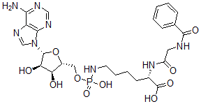 CAS#: 113527-46-1， (2S)-6-[[[(2R,3S,4R,5R)-5-(6-Aminopurin-9-Yl)-3,4-Dihydroxyoxolan-2-Yl]Methoxy-Hydroxyphosphoryl]Amino]-2-[[2-(Benzoylamino)Acetyl]Amino]Hexanoic Acid