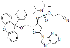 CAS#: 114155-97-4， 3-[(Di(Propan-2-Yl)Amino)-[(2R,3S,5R)-2-[(9-Phenylxanthen-9-Yl)Oxymethyl]-5-Purin-9-Yloxolan-3-Yl]Oxyphosphoryl]Oxypropanenitrile