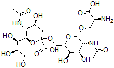 CAS#: 114661-01-7， (2R,4S,5R,6R)-5-Acetamido-2-[[(2R,3R,4R,5R,6S)-5-Acetamido-6-[(2S)-2-Amino-3-Hydroxy-3-Oxopropoxy]-3,4-Dihydroxyoxan-2-Yl]Methoxy]-4-Hydroxy-6-[(1R,2R)-1,2,3-Trihydroxypropyl]Oxane-2-Carboxylic Acid
