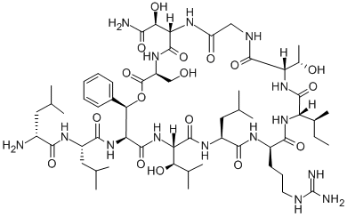 CAS#: 116340-02-4， N-[6-(2-Amino-1-Hydroxy-2-Oxoethyl)-15-Butan-2-Yl-18-[3-(Diaminomethylideneamino)Propyl]-12-(1-Hydroxyethyl)-3-(Hydroxymethyl)-24-(1-Hydroxy-2-Methylpropyl)-21-(2-Methylpropyl)-2,5,8,11,14,17,20,23,26-Nonaoxo-28-Phenyl-1-Oxa-4,7,10,13,16,19,22,25-Octazacyclooctacos-27-Yl]-2-[(2-Amino-4-Methylpentanoyl)Amino]-4-Methylpentanamide