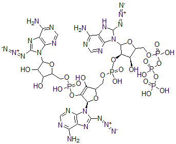 CAS#: 117146-01-7， 5'-O-Triphosphoryl-8-Azidoadenylyl-(2'-5')-8-Azidoadenylyl-(2'-5')-8-Azidoadenosine