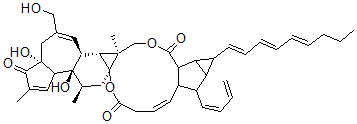 CAS#: 117855-87-5， 12-Deoxy-16-Hydroxyphorbol-4'-(12',14'-Butadienyl)-6'-(16',18',20'-Nonatrienyl)-Bicyclo(3.1.0)Hexane-(13-O)-2'-(Carboxylate)-(16-O)-3'-(8'-Butenoic-10')Ate