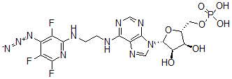 CAS#: 119304-29-9， N(6)-(N((4-Azido-3,5,6-Trifluoro)Pyridin-2-Yl)-2-Aminoethyl)Adenosine 5'-Monophosphate