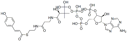 CAS 登录号：119785-99-8， [(2R,3S,4R,5R)-5-(6-氨基嘌呤-9-基)-4-羟基-2-[[羟基-[羟基-[3-羟基-3-[2-[2-[(E)-3-(4-羟基苯基)丙-2-烯酰基]硫基乙基氨基甲酰]乙基氨基甲酰]-2,2-二甲基-丙氧基]磷酰]氧基-磷酰]氧基甲基]四氢呋喃-3-基]氧基膦酸