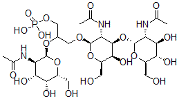 CAS#: 119903-55-8， Capsular Polysaccharide Type 6, Actinobacillus Pleuropneumoniae