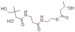 CAS#: 120497-19-0， 3-Hydroxybutyrylpantetheine