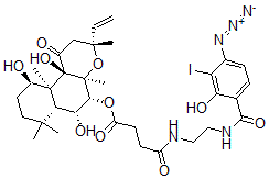 CAS#: 121878-20-4， 3'-Iodo-4'-Azidosalicylamidoethylamido-7-Succinyldeacetylforskolin