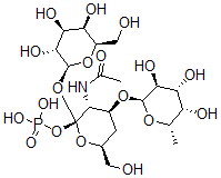 CAS#: 122998-77-0， [(2R,3R,4S,6S)-3-Acetamido-6-(Hydroxymethyl)-2-[(2S,3R,4S,5R,6R)-3,4,5-Trihydroxy-6-(Hydroxymethyl)Oxan-2-Yl]Oxy-4-[(2R,3S,4R,5S,6S)-3,4,5-Trihydroxy-6-Methyloxan-2-Yl]Oxyoxan-2-Yl] Dihydrogen Phosphate