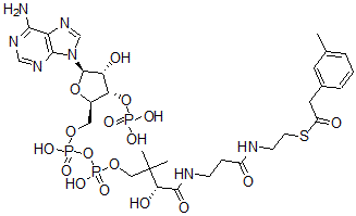 CAS#: 124900-43-2， 3-Tolylacetyl-coenzyme A