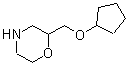 CAS#: 125444-26-0， 2-[(Cyclopentyloxy)Methyl]Morpholine