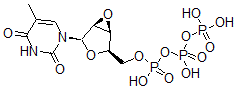 CAS#: 125676-73-5， (Hydroxy-Phosphonooxyphosphoryl) [(1S,2R,4R,5S)-4-(5-Methyl-2,4-Dioxopyrimidin-1-Yl)-3,6-Dioxabicyclo[3.1.0]Hexan-2-Yl]Methyl Hydrogen Phosphate