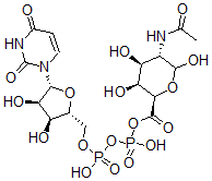 CAS#: 125710-37-4， [[[(2R,3S,4R,5R)-5-(2,4-Dioxopyrimidin-1-Yl)-3,4-Dihydroxyoxolan-2-Yl]Methoxy-Hydroxyphosphoryl]Oxy-Hydroxyphosphoryl] (2R,3S,4S,5S)-5-Acetamido-3,4,6-Trihydroxyoxane-2-Carboxylate