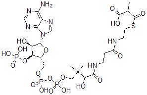structure of CAS# 1264-45-5, Methylmalonyl-Coenzyme A;3-[2-[3-[[4-[[[(2R,3S,4R,5R)-5-(6-Aminopurin-9-Yl)-4-Hydroxy-3-Phosphonooxy-Tetrahydrofuran-2-Yl]Methoxy-Hydroxy-Phosphoryl]Oxy-Hydroxy-Phosphoryl]Oxy-2-Hydroxy-3,3-Dimethyl-Butanoyl]Amino]Propanoylamino]Ethylsulfanyl]-2-Methyl-3-Oxo-Propanoic Acid;3-[2-[[3-[[4-[[[(2R,3S,4R,5R)-5-(6-Amino-9-Purinyl)-4-Hydroxy-3-Phosphonooxy-2-Tetrahydrofuranyl]Methoxy-Hydroxyphosphoryl]Oxy-Hydroxyphosphoryl]Oxy-2-Hydroxy-3,3-Dimethyl-1-Oxobutyl]Amino]-1-Oxopropyl]Amino]Ethylthio]-2-Methyl-3-Oxopropanoic Acid;3-[2-[3-[[4-[[[(2R,3S,4R,5R)-5-(6-Aminopurin-9-Yl)-4-Hydroxy-3-Phosphonooxy-Tetrahydrofuran-2-Yl]Methoxy-Hydroxy-Phosphoryl]Oxy-Hydroxy-Phosphoryl]Oxy-2-Hydroxy-3,3-Dimethyl-Butanoyl]Amino]Propanoylamino]Ethylthio]-3-Keto-2-Methyl-Propionic Acid
