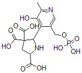 CAS#: 126706-33-0， 5-[3-Hydroxy-2-Methyl-5-(Phosphonooxymethyl)Pyridin-4-Yl]Pyrrolidine-2,4,4-Tricarboxylic Acid