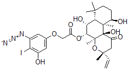 CAS#: 126869-27-0， 7-Forskolinyl-2-(3-azido-5-hydroxy-4-iodophenoxy)acetate
