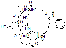 CAS#: 129274-06-2， 1-(L-2-Aminobutanoic Acid)-3-L-Isoleucine-4-(2-Mercapto-L-Tryptophan)-alpha-Amanitin De-S-Oxide
