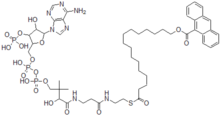 CAS#: 129385-08-6， 16-(9-Anthroyloxy)palmitoyl-coenzyme A