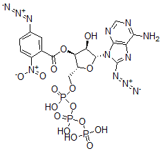 CAS#: 129391-97-5， [(2R,3S,4R,5R)-5-(6-Amino-8-Azidopurin-9-Yl)-4-Hydroxy-2-[[Hydroxy-(Hydroxy-Phosphonooxyphosphoryl)Oxyphosphoryl]Oxymethyl]Oxolan-3-Yl] 5-Azido-2-Nitrobenzoate