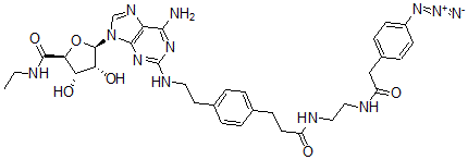 CAS#: 129932-69-0， (2S,3S,4R,5R)-5-[6-Amino-2-[2-[4-[3-[2-[[2-(4-Azidophenyl)Acetyl]Amino]Ethylamino]-3-Oxopropyl]Phenyl]Ethylamino]Purin-9-Yl]-N-Ethyl-3,4-Dihydroxyoxolane-2-Carboxamide