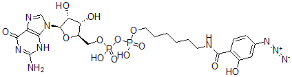 CAS#: 129992-33-2， [(2R,3S,4R,5R)-5-(2-Amino-6-Oxo-3H-Purin-9-Yl)-3,4-Dihydroxyoxolan-2-Yl]Methyl [6-[(4-Azido-2-Hydroxybenzoyl)Amino]Hexoxy-Hydroxyphosphoryl] Hydrogen Phosphate