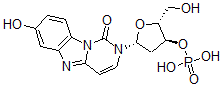 CAS#: 130882-58-5， [(2R,3S,5R)-2-(Hydroxymethyl)-5-(7-Hydroxy-1-Oxopyrimido[3,4-a]Benzimidazol-2-Yl)Oxolan-3-Yl] Dihydrogen Phosphate