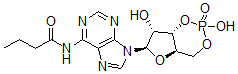 CAS#: 13117-60-7， N6-Monobutyryladenosine-3',5'-cyclic monophosphoric acid