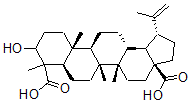 CAS#: 132339-62-9， 3-Hydroxylup-20(29)-Ene-23,28-Dioic Acid