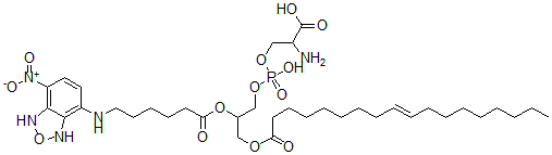 CAS#: 132880-14-9， 2-Amino-3-[Hydroxy-[2-[6-[(4-Nitro-1,3-Dihydro-2,1,3-Benzoxadiazol-7-Yl)Amino]Hexanoyloxy]-3-[(E)-Octadec-9-Enoyl]Oxypropoxy]Phosphoryl]Oxypropanoic Acid