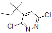 CAS#: 133740-16-6， 3,6-Dichloro-4-(2-methylbutan-2-yl)pyridazine