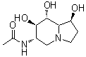 CAS#: 134100-29-1， N-[(1S,6S,7R,8R,8aR)-1,7,8-Trihydroxyoctahydro-6-Indolizinyl]Acetamide