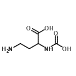 CAS#: 134579-53-6， 4-Amino-2-(Carboxyamino)Butanoic Acid