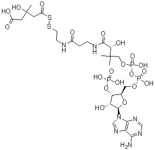 CAS#: 134785-93-6， S-[(4-Carboxy-3-Hydroxy-3-Methyl-1-Oxobutyl)Thio]-Coenzyme A