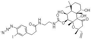 CAS#: 136133-69-2， N-(3-(4-Azido-3-iodophenyl)-propionamide)-7-aminoethylcarbamyl-7-desacetylforskolin
