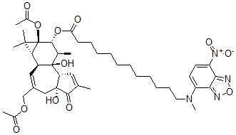 CAS#: 137034-69-6， Phorbol-13-acetate-12-N-methyl-N-4-(N,N'-di(2-hydroxyethyl)amino)-7-nitrobenz-2-oxa-1,3-diazole-aminododecanoate