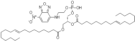 CAS#: 137819-86-4， (2R)-3-[(Hydroxy{2-[(7-Nitro-2,1,3-Benzoxadiazol-4-Yl)Amino]Ethoxy}Phosphoryl)Oxy]-2-[(9E)-9-Octadecenoyloxy]Propyl (9E)-9-Octadecenoate