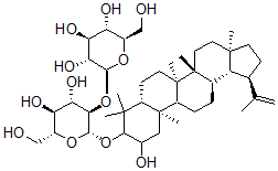 CAS#: 140231-39-6， 3-O-(beta-D-Glucopyranosyl(1-2)beta-D-Glucopyranosyl)-2alpha,3beta-Dihydroxylup-20(29)-Ene