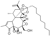 CAS 登录号：1404-62-2， 河朔荛花素