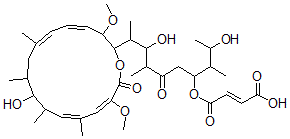 CAS#: 142386-68-3， (E)-4-[2,8-Dihydroxy-9-[(4E,6E,12E,14E)-10-Hydroxy-3,15-Dimethoxy-7,9,11,13-Tetramethyl-16-Oxo-1-Oxacyclohexadeca-4,6,12,14-Tetraen-2-Yl]-3,7-Dimethyl-6-Oxodecan-4-Yl]Oxy-4-Oxobut-2-Enoic Acid