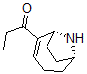CAS#: 142926-86-1， 1-[(1R,6R)-9-Azabicyclo[4.2.1]Non-4-En-5-Yl]Propan-1-One