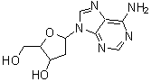 CAS#: 14365-45-8， 9-(2-Deoxypentofuranosyl)-9H-Purin-6-Amine