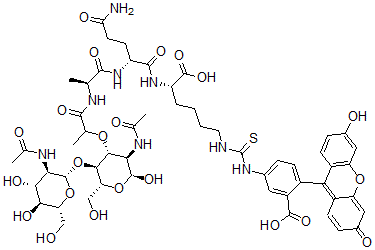 CAS#: 143873-62-5， N2-(N2-(N-(N-acetyl-4-O-(2-(acetylamino)-2-deoxy-beta-D-glucopyranosyl)muramoyl)-L-alanyl)-D-alpha-glutaminyl)-N6-(((3-carboxy-4-(6-hydroxy-3-oxo-3H-xanthen-9-yl)phenyl)amino)thioxomethyl)-L-Lysine