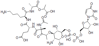 CAS#: 144483-60-3， Udp-N-acetylmuramyl-alanyl-glutamyl-lysyl-alanyl-lactate
