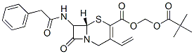CAS#: 146383-05-3， 2,2-Dimethylpropanoyloxymethyl (6R,7R)-3-Ethenyl-8-Oxo-7-[(2-Phenylacetyl)Amino]-5-Thia-1-Azabicyclo[4.2.0]Oct-2-Ene-2-Carboxylate