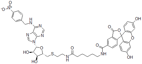 CAS#: 147395-08-2， N-[6-[2-[[(2S,3S,4R,5R)-3,4-Dihydroxy-5-[6-[(4-Nitrophenyl)Methylamino]Purin-9-Yl]Oxolan-2-Yl]Methylsulfanyl]Ethylamino]-6-Oxohexyl]-3',6'-Dihydroxy-3-Oxospiro[2-Benzofuran-1,9'-Xanthene]-5-Carboxamide