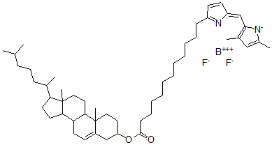 CAS#: 151736-99-1， Cholesteryl 4,4-difluoro-5,7-dimethyl-4-bora-3,4-diaza-3-indacenedodecanoate